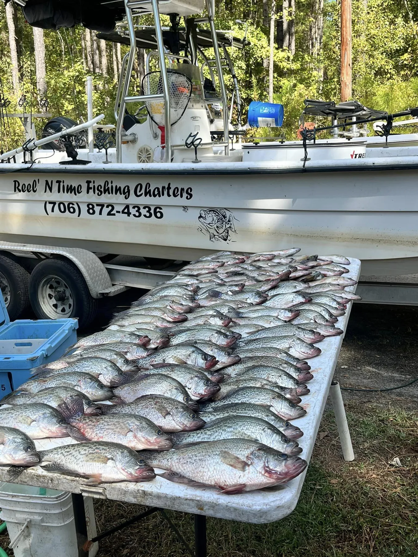 Crappie fishing report on Clarks Hill Lake